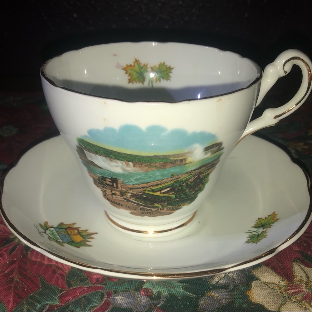 Vintage Niagara Falls Tea Cup Regency Bone China